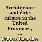 Architecture and élite culture in the United Provinces, England and Ireland, 1500-1700