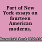 Port of New York essays on fourteen American moderns,