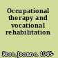 Occupational therapy and vocational rehabilitation