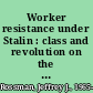 Worker resistance under Stalin : class and revolution on the shop floor /