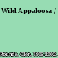 Wild Appaloosa /