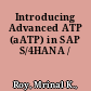 Introducing Advanced ATP (aATP) in SAP S/4HANA /