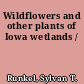 Wildflowers and other plants of Iowa wetlands /