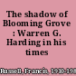 The shadow of Blooming Grove : Warren G. Harding in his times /