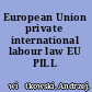 European Union private international labour law EU PILL /