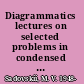 Diagrammatics lectures on selected problems in condensed matter theory /