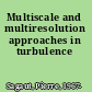 Multiscale and multiresolution approaches in turbulence
