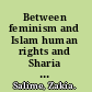 Between feminism and Islam human rights and Sharia Law in Morocco /