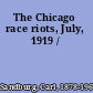 The Chicago race riots, July, 1919 /