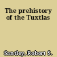 The prehistory of the Tuxtlas