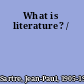 What is literature? /