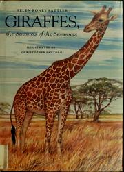 Giraffes, the sentinels of the Savannas /