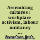 Assembling cultures : workplace activism, labour militancy and cultural change in Britain's car factories, 1945-82 /