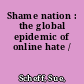 Shame nation : the global epidemic of online hate /