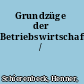 Grundzüge der Betriebswirtschaftslehre /