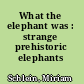 What the elephant was : strange prehistoric elephants /