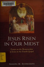 Jesus risen in our midst : essays on the resurrection of Jesus in the fourth Gospel /