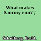 What makes Sammy run? /