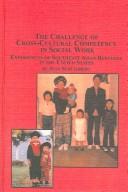 The challenge of cross-cultural competency in social work : experiences of Southeast Asian refugees in the United States /