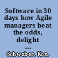 Software in 30 days how Agile managers beat the odds, delight their customers, and leave competitors in the dust /