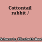 Cottontail rabbit /