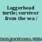 Loggerhead turtle; survivor from the sea /