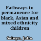 Pathways to permanence for black, Asian and mixed ethnicity children