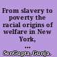 From slavery to poverty the racial origins of welfare in New York, 1840-1918 /