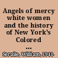 Angels of mercy white women and the history of New York's Colored Orphan Asylum /