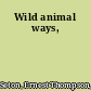 Wild animal ways,