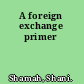 A foreign exchange primer