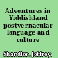 Adventures in Yiddishland postvernacular language and culture /