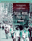 Techniques and guidelines for social work practice /