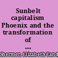 Sunbelt capitalism Phoenix and the transformation of American politics /