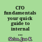 CFO fundamentals your quick guide to internal controls, financial reporting, IFRS, Web 2.0, cloud computing, and more /