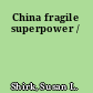 China fragile superpower /