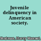 Juvenile delinquency in American society.
