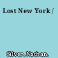 Lost New York /
