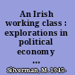 An Irish working class : explorations in political economy and hegemony, 1800-1950 /