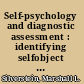 Self-psychology and diagnostic assessment : identifying selfobject functions through psychological testing /