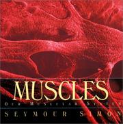 Muscles : our muscular system /