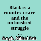 Black is a country : race and the unfinished struggle for democracy /
