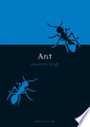 Ant /