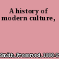 A history of modern culture,