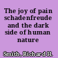 The joy of pain schadenfreude and the dark side of human nature /