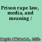 Prison rape law, media, and meaning /