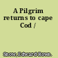 A Pilgrim returns to cape Cod /