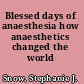 Blessed days of anaesthesia how anaesthetics changed the world /