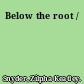 Below the root /