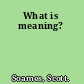 What is meaning?